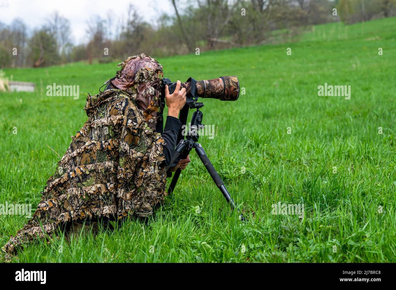 A female nature photographer waiting hidden for an animal Stock Photo ...