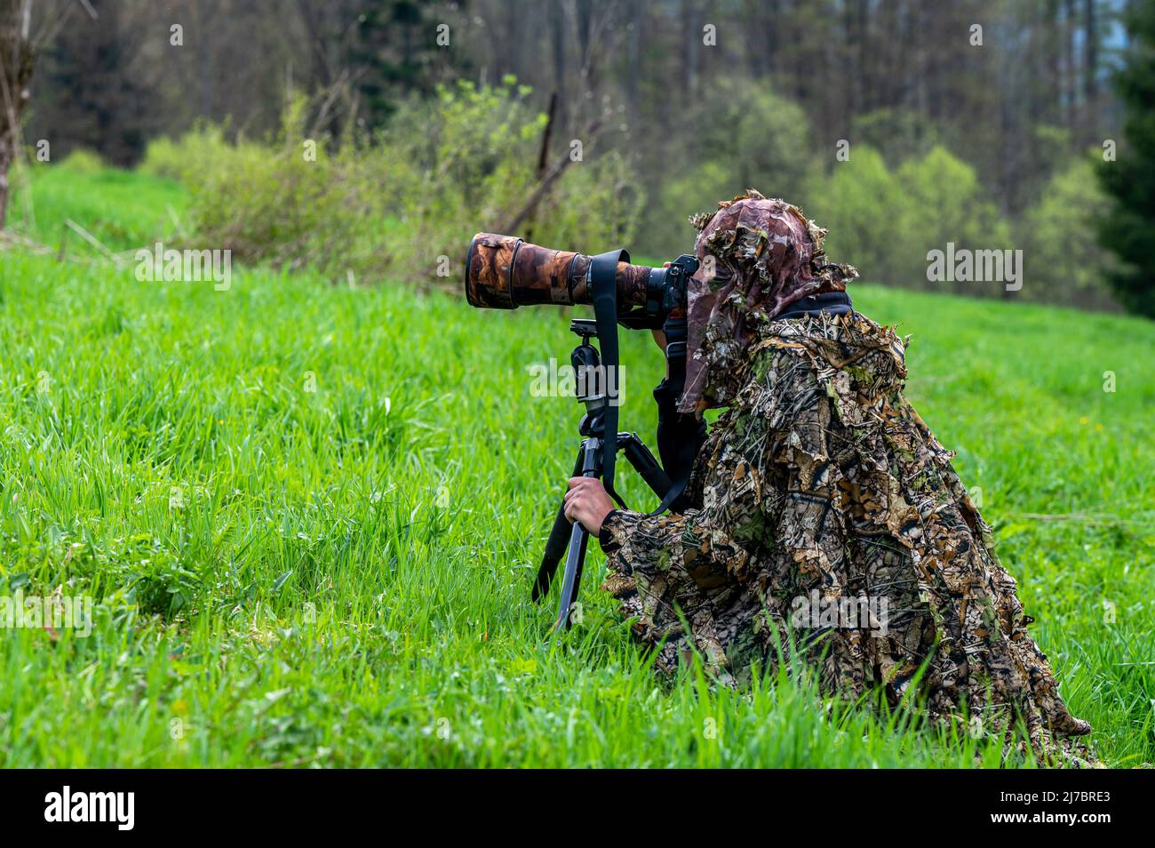 A female nature photographer waiting hidden for an animal Stock Photo ...