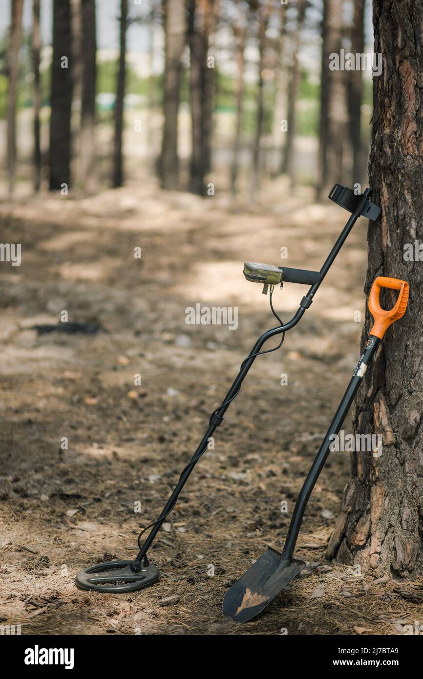 Search for treasures in the forest. A metal detector and a shovel stood leaning on a pine tree. Treasure hunting, coin search Stock Photo