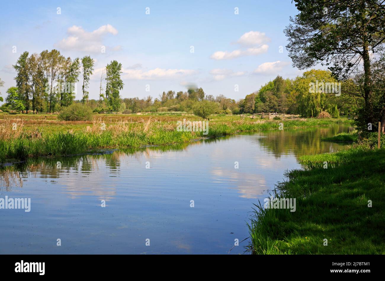 Buxton with lamas hires stock photography and images Alamy