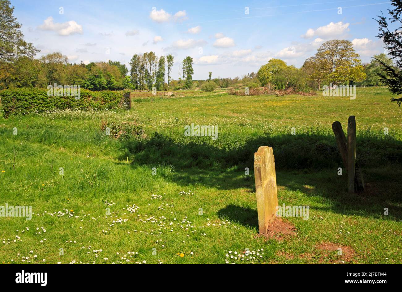 A view from the churchyard over grazing marshes by the River Bure in spring at Lamas, Buxton with Lamas, Norfolk, England, United Kingdom. Stock Photo