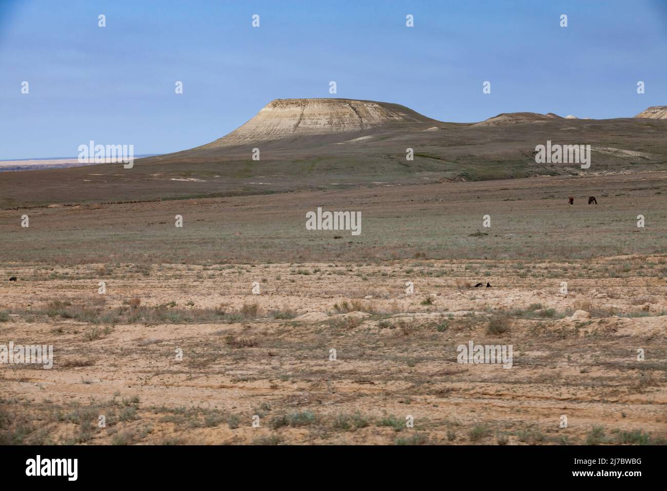 Scenic view on hill in desert. Kazakhstan Stock Photo