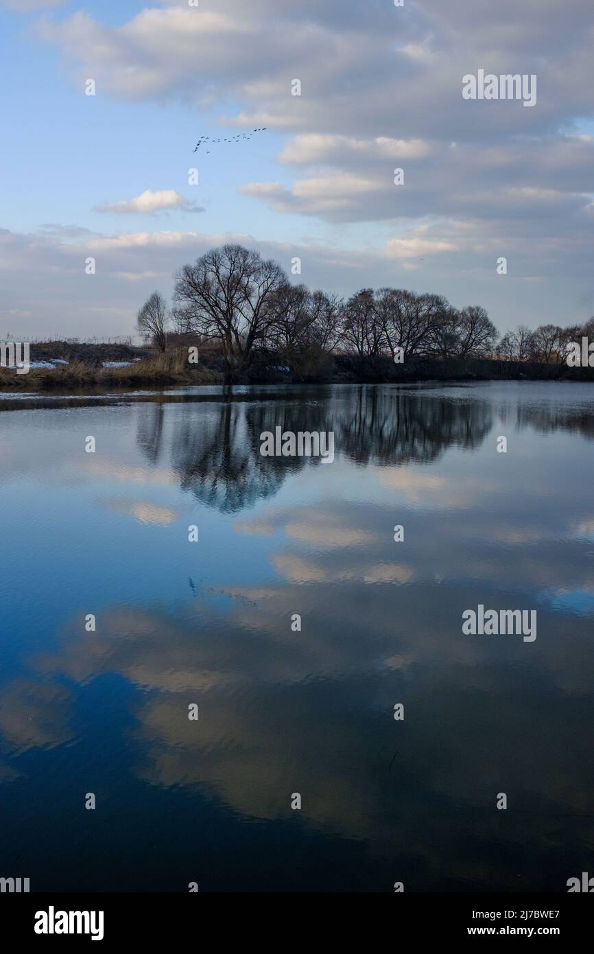 River in springtime, symmetrical scape. Blue water and reflection, trees without leaves, beautiful clouds on blue sky. Migrating birds in the sky Stock Photo