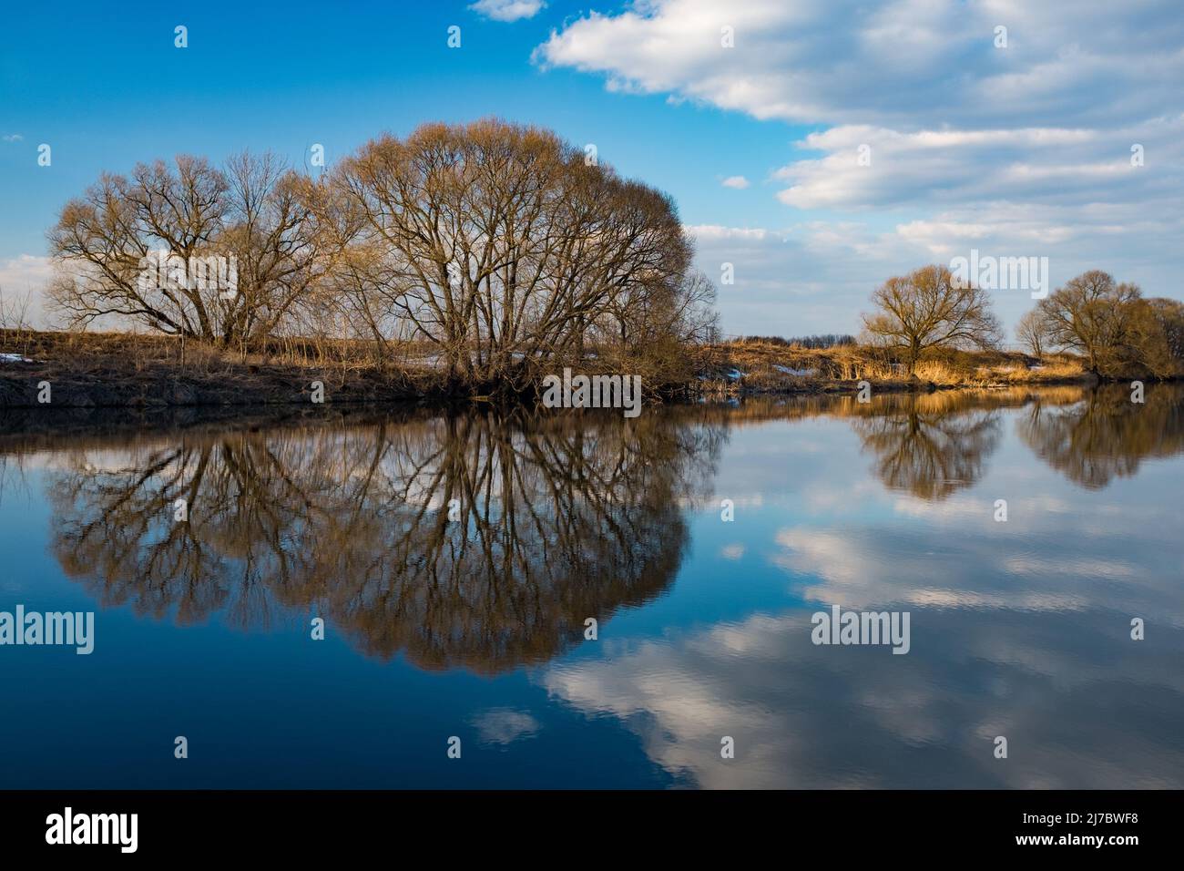 Spring river symmetrical landscape. Blue water with reflection, bare trees without leaves, beautiful clouds on blue sky. Evening light. Stock Photo
