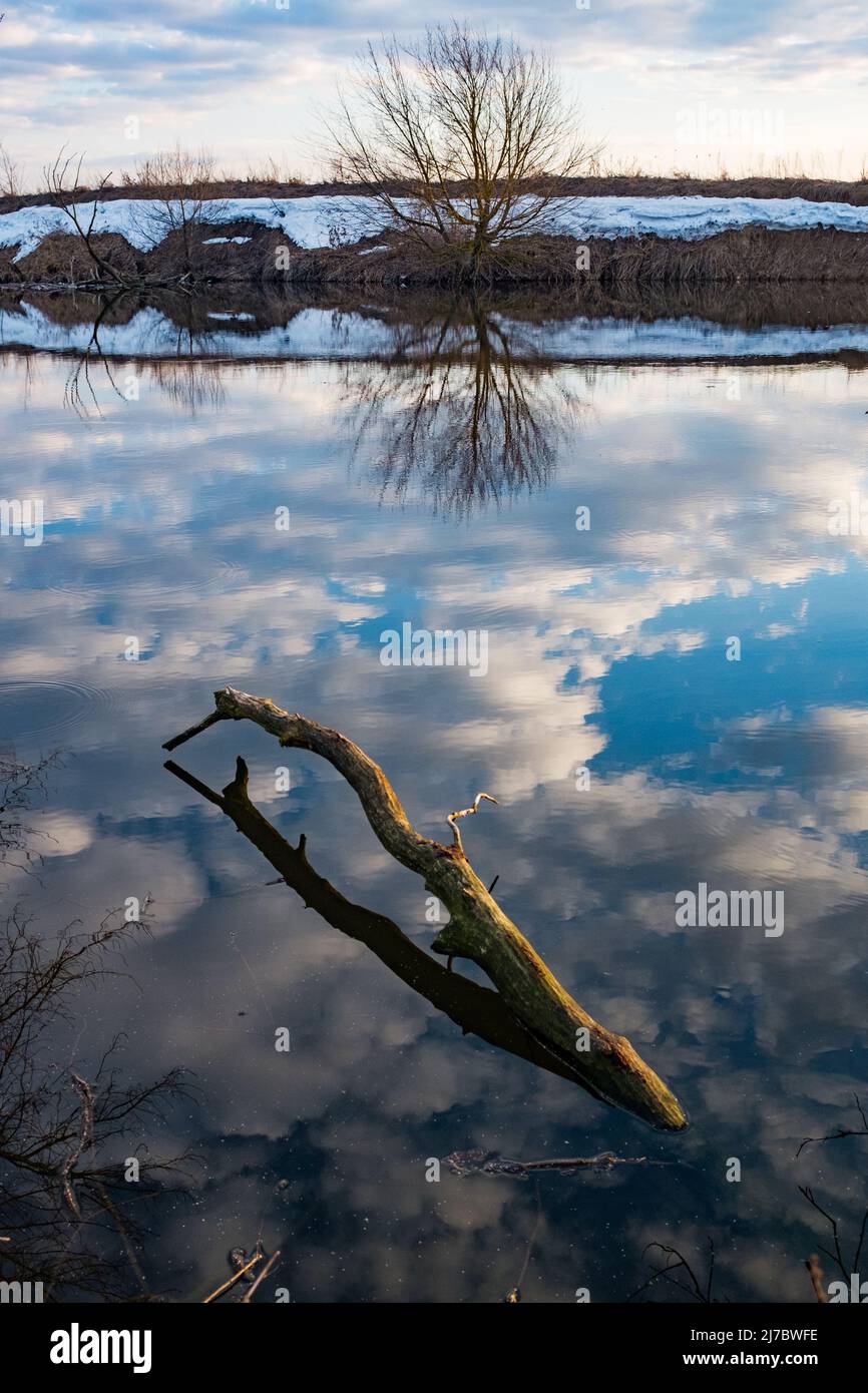 River at spring. Blue water with reflection, tree without leaves and beautiful clouds on blue sky. Broken tree branche in the water on foreground. Stock Photo