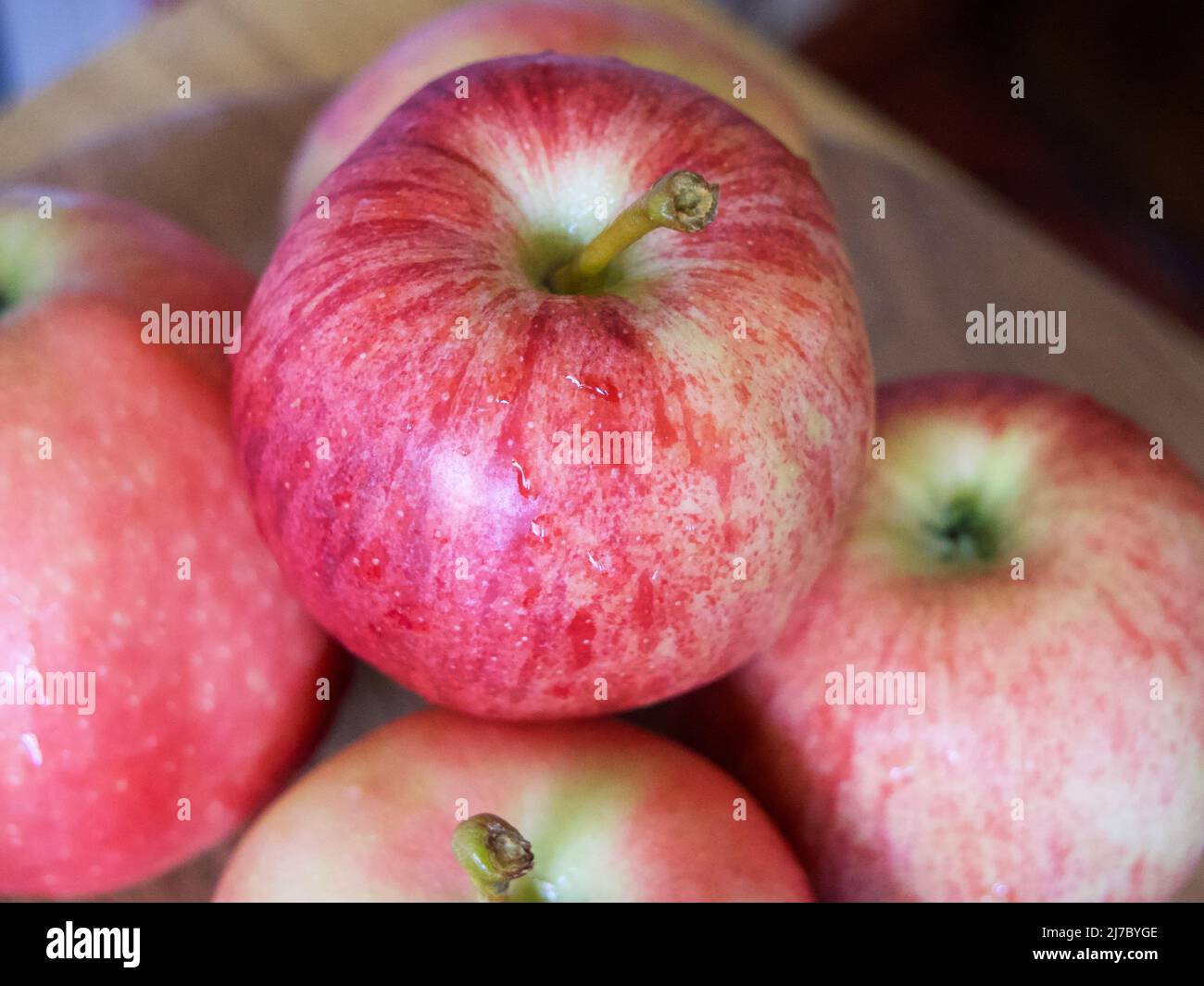 A few gala apples, a closeup shot. Ripe apples. Gala is a clonally propagated apple cultivar