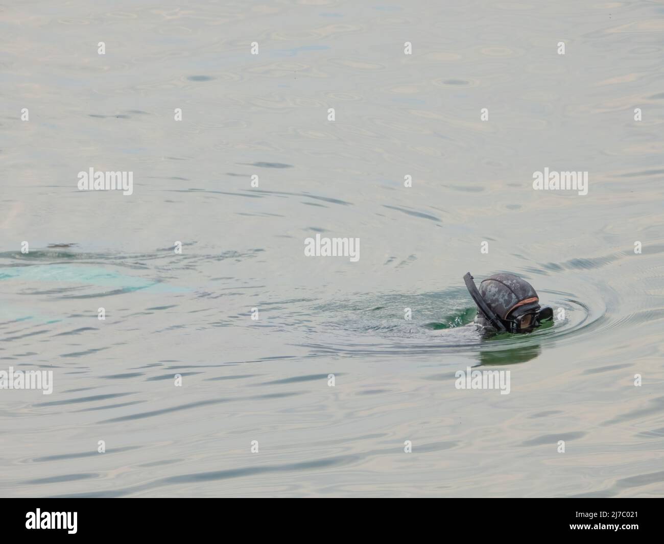 ALANYA, TURKEY OCT 30, 2021. Swimmer in a diving suit on the water
