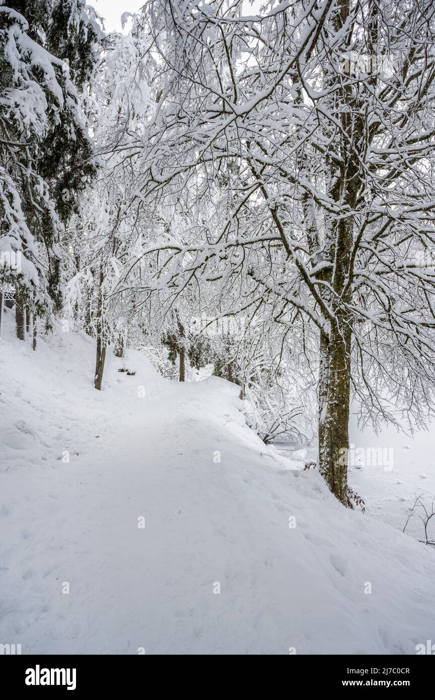Winter on Lake Fusine. After a heavy snowfall Stock Photo - Alamy