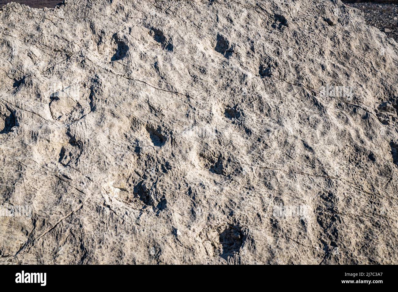 Dinosaur footprints at the Marocche of Dro,Trento province, northern Italy.These footprins were left about 190 million years ago. Stock Photo