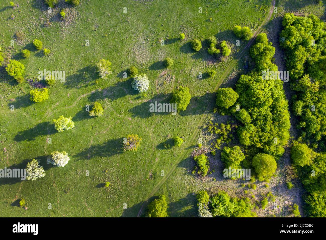 Aerial view of a green wild pasture, countryside range in the spring Stock Photo