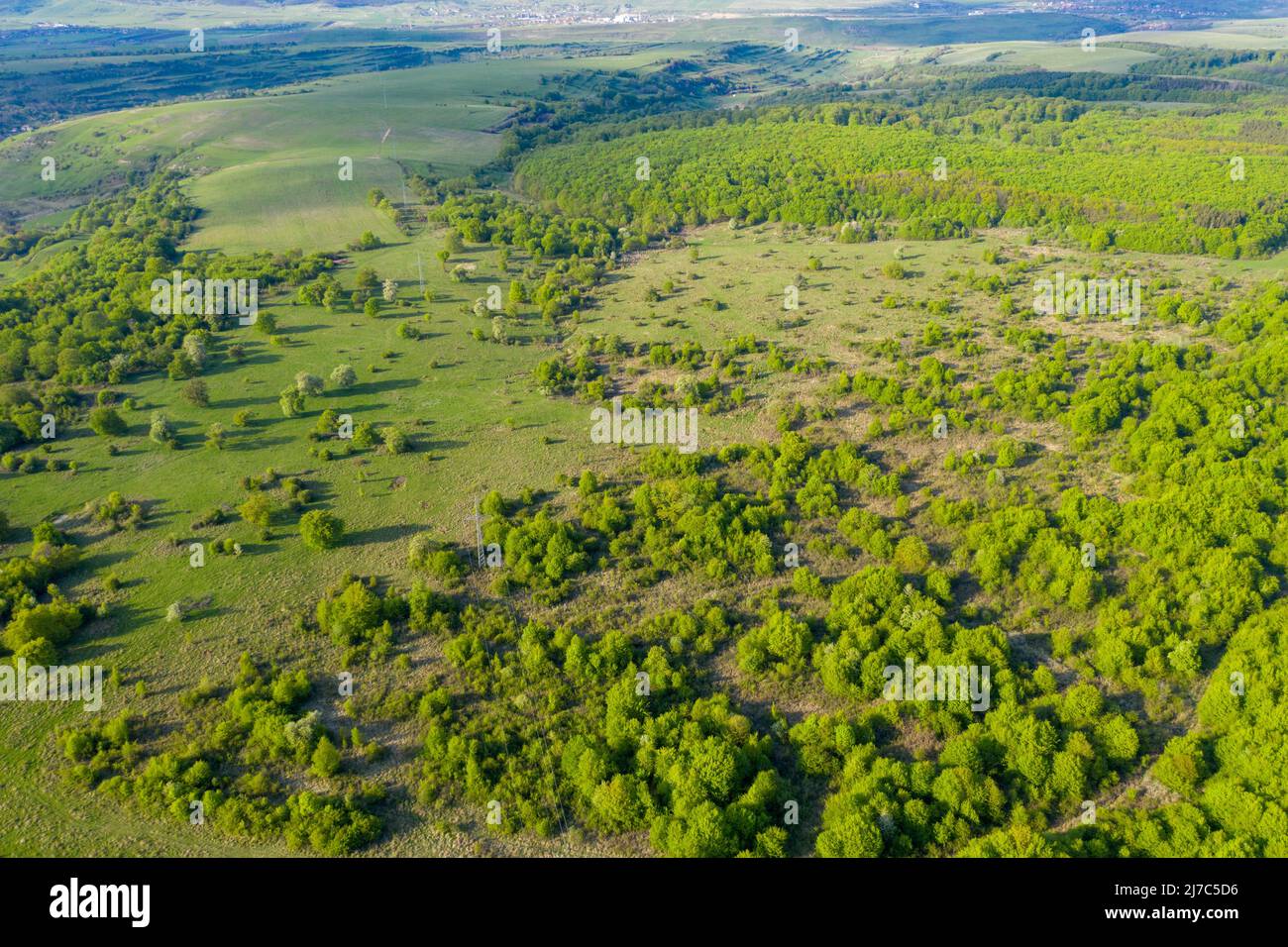 Aerial view of vibrant green pasture and forest in Transylvania, Romania by drone Stock Photo
