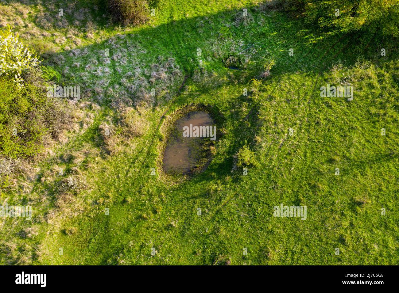 Aerial view of green pasture with small natural drinking ponds for buffalos and farm animals. Transylvania, Romania Stock Photo