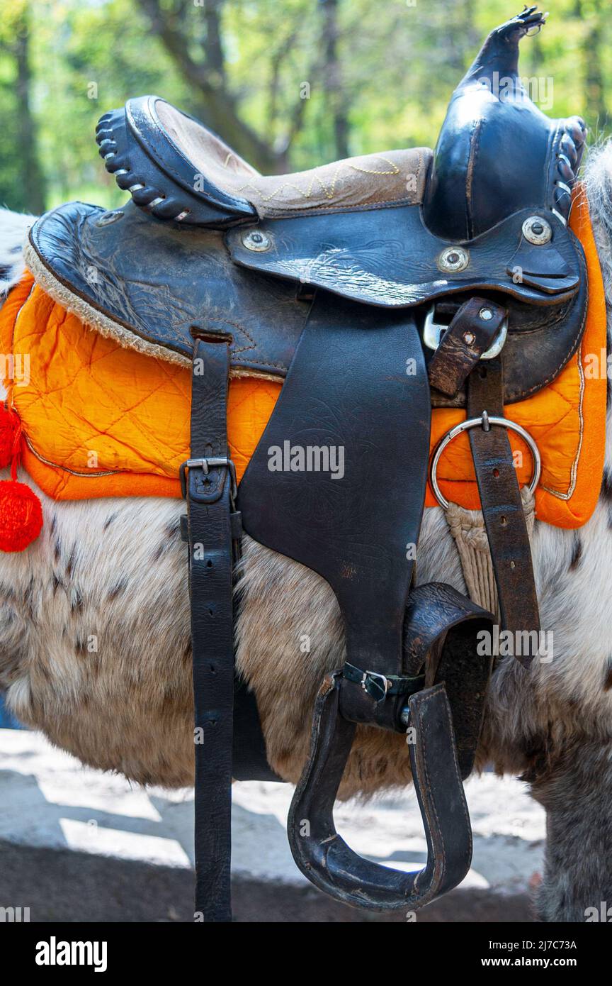 Western leather saddle hi-res stock photography and images - Page 10 - Alamy