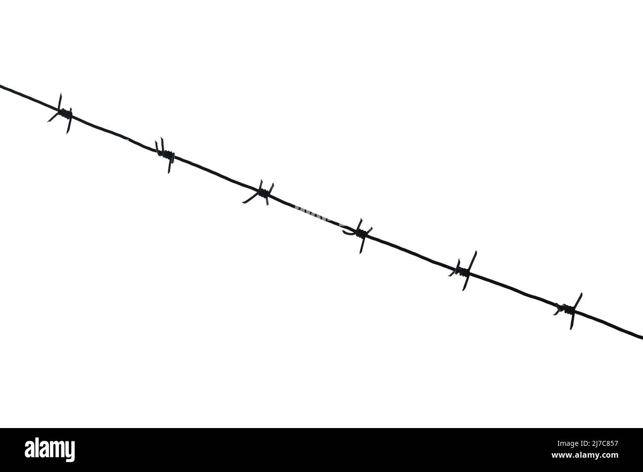 Barbed wire silhouette on a white background. Isolate. Stock Photo