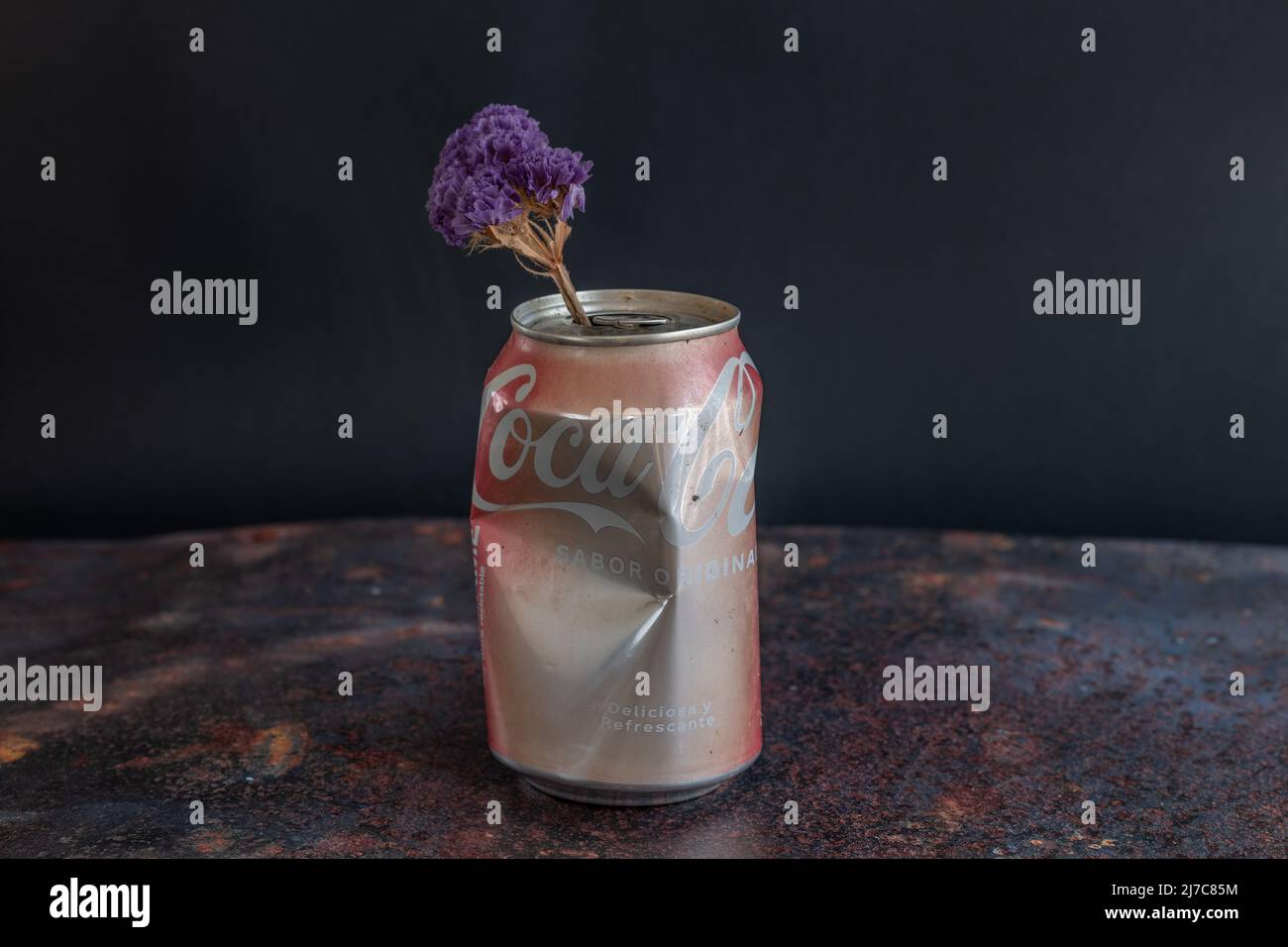 Old rusty Coca-Cola can with a purple flower inside with a black background and on top of a rusty metal plate. Stock Photo