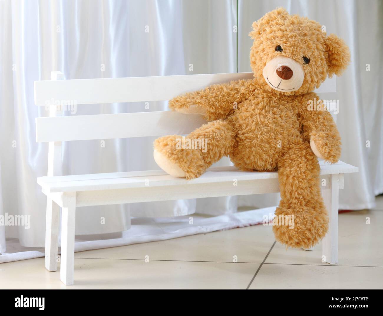 eddy bear sitting on the bench Stock Photo - Alamy