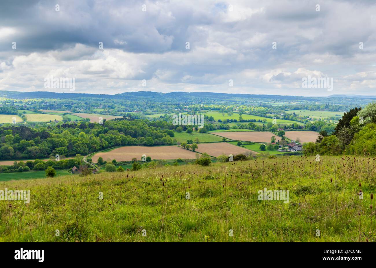 View of countryside and farmland at Blatchford Down on the North Downs Way, Abinger Hammer in the Surrey Hills Area of outstanding Natural Beauty Stock Photo