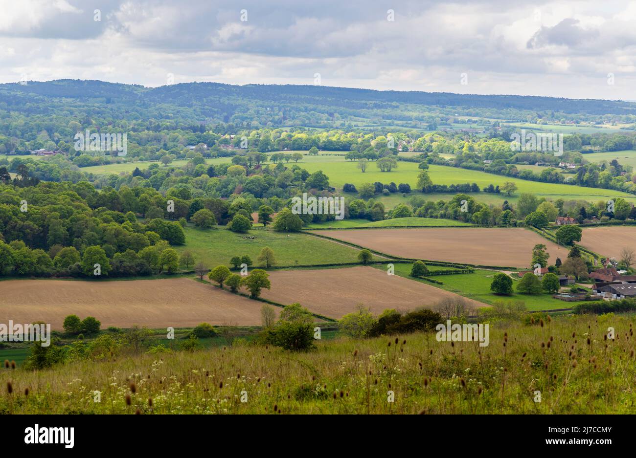 View of countryside and farmland at Blatchford Down on the North Downs Way, Abinger Hammer in the Surrey Hills Area of outstanding Natural Beauty Stock Photo