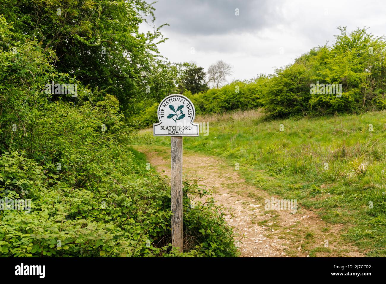 View of National Trust name sign at Blatchford Down on the North Downs Way, Abinger Hammer in the Surrey Hills Area of outstanding Natural Beauty Stock Photo