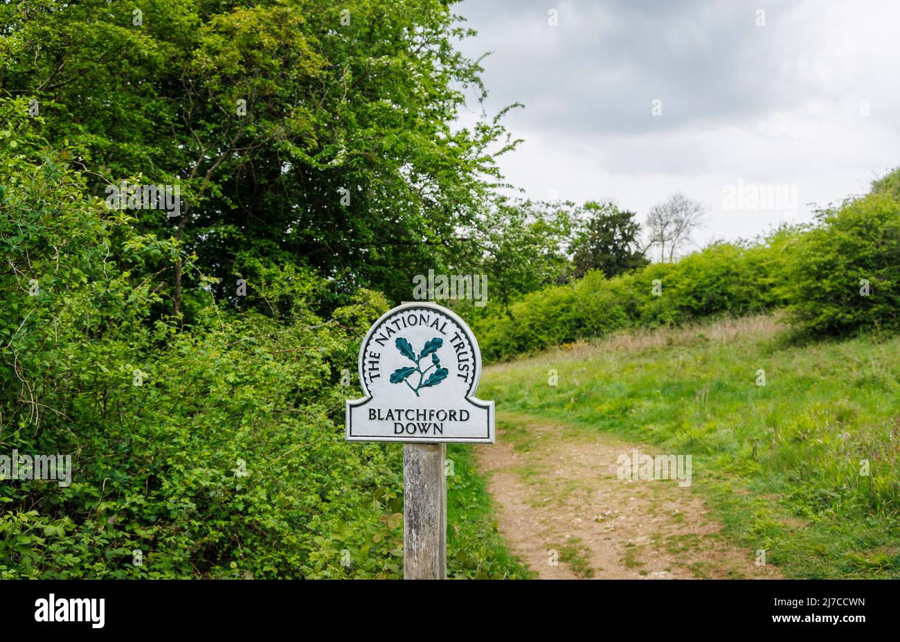 View of National Trust name sign at Blatchford Down on the North Downs Way, Abinger Hammer in the Surrey Hills Area of outstanding Natural Beauty Stock Photo
