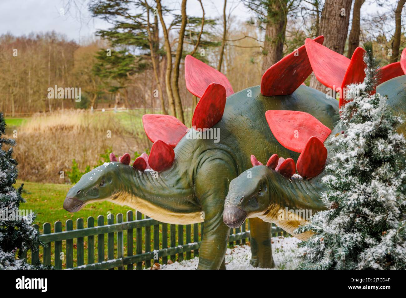 Models of a Jurassic period Stegosaurus, a herbivore dinosaur, at the annual family entertainment Snowsaurus event at Painshill Park, Cobham, Surrey Stock Photo