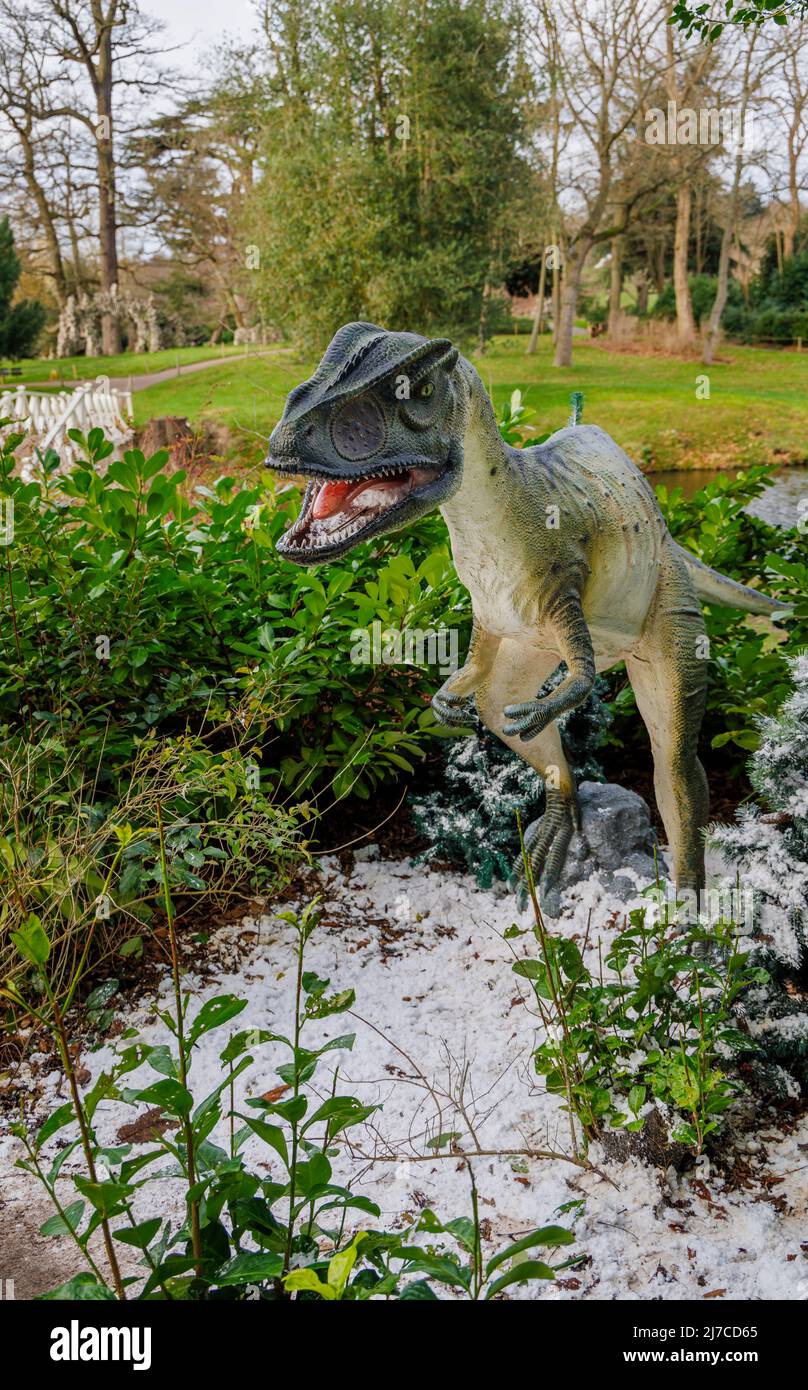 Model of a Jurassic period Allosaurus, a raptor dinosaur, at the annual family entertainment Snowsaurus event at Painshill Park, Cobham, Surrey Stock Photo