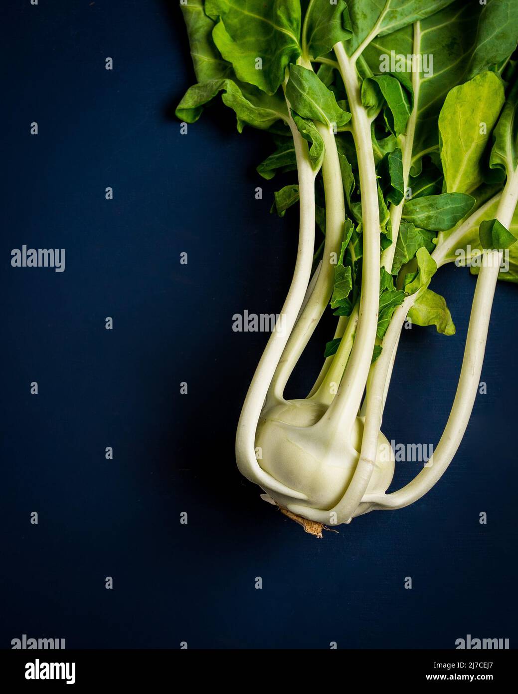 Raw Kohlrabi Stock Photo