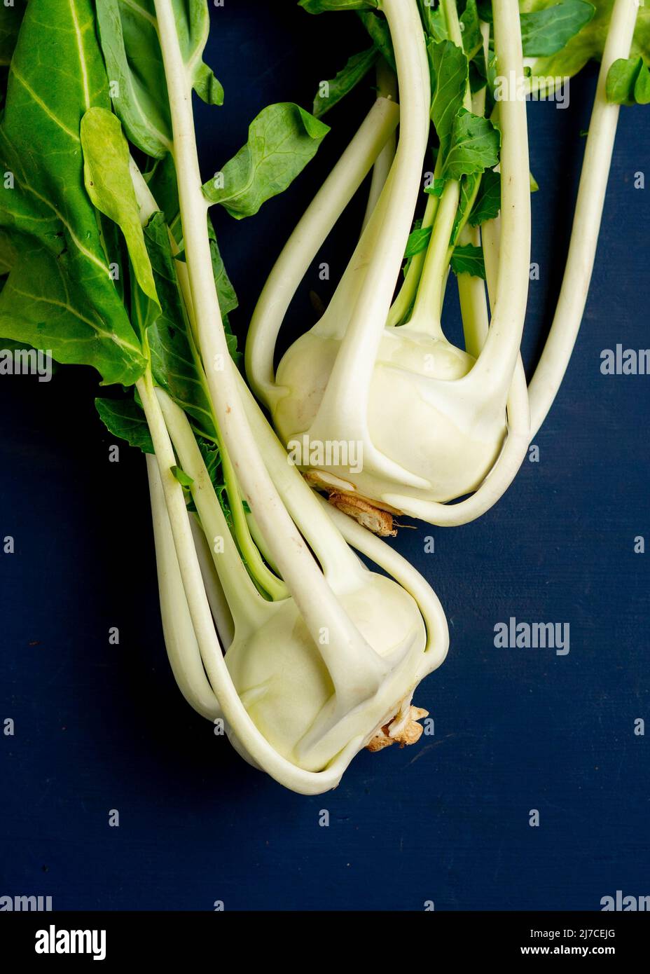 Raw Kohlrabi Stock Photo