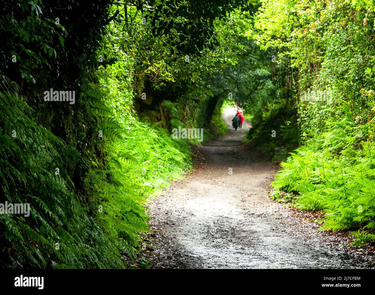Two backpackers on a dirt road Stock Photo