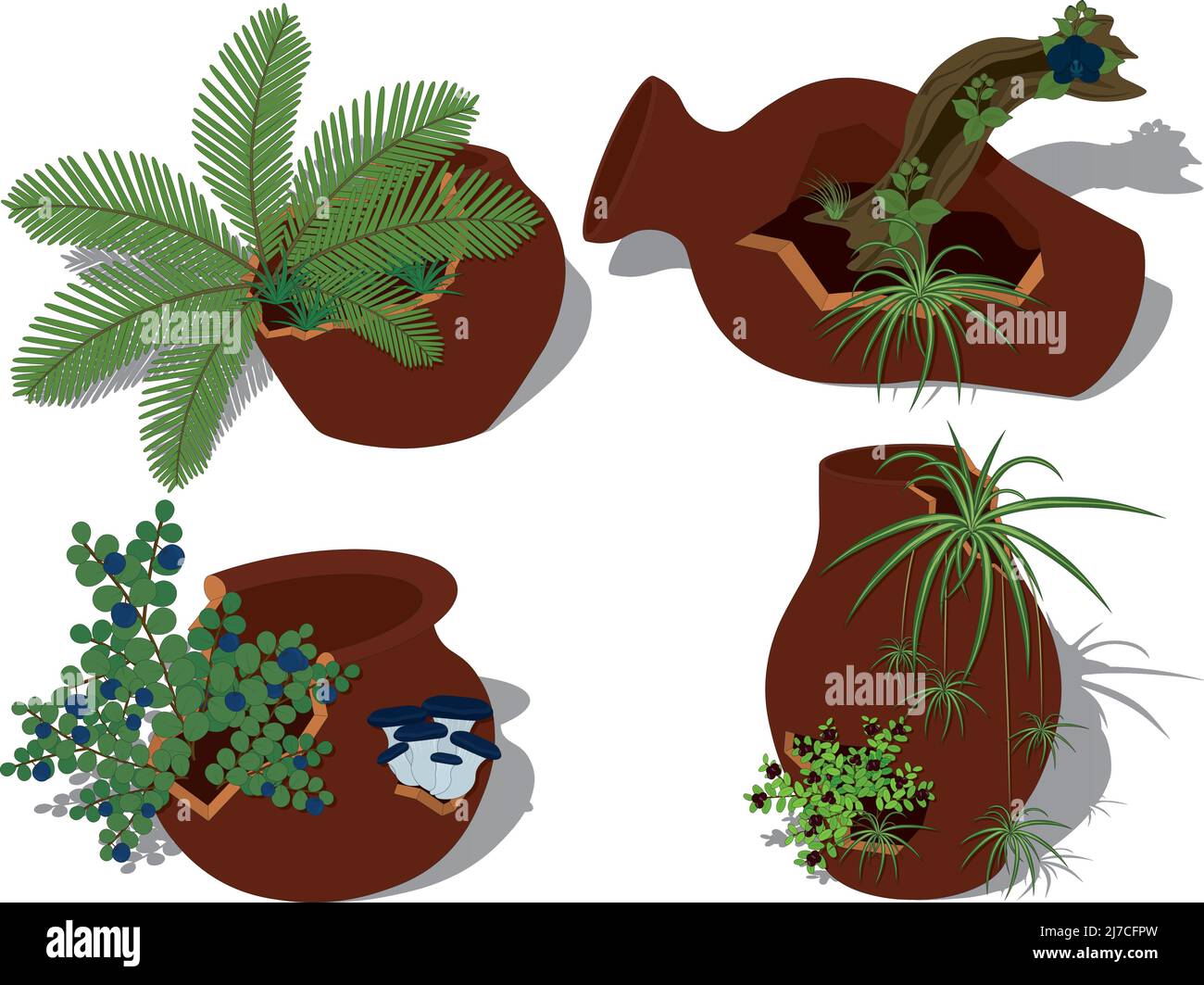 Potted plants collection, plants in cracked broken pots vector illustration Stock Vector