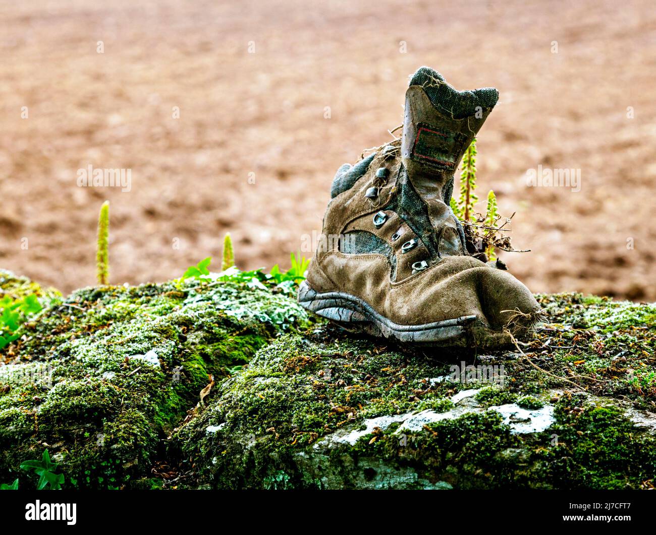 An old discarded trekking boot Stock Photo