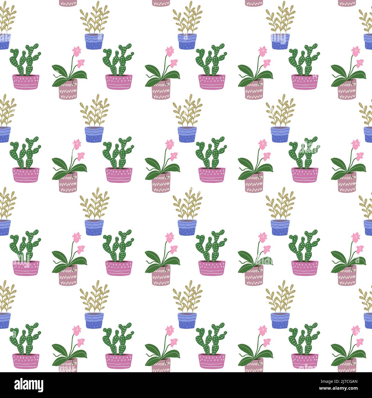 Hand drawn potted plants seamless pattern. Cactuses and succulents flat ...
