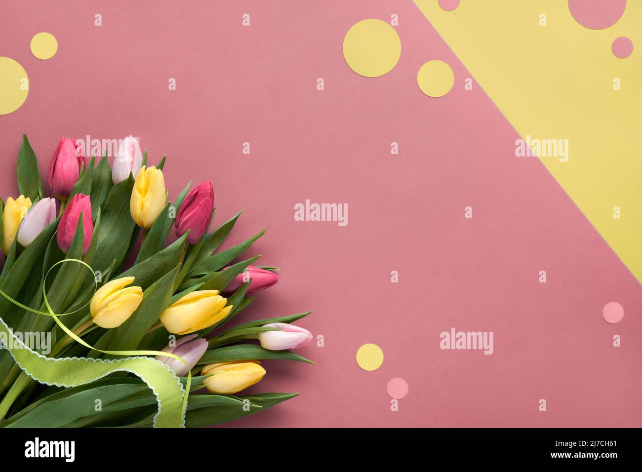 Bunch of red and yellow tulips with ribbon. Corner composition, flat lay on layered pink and yellow paper. Stock Photo