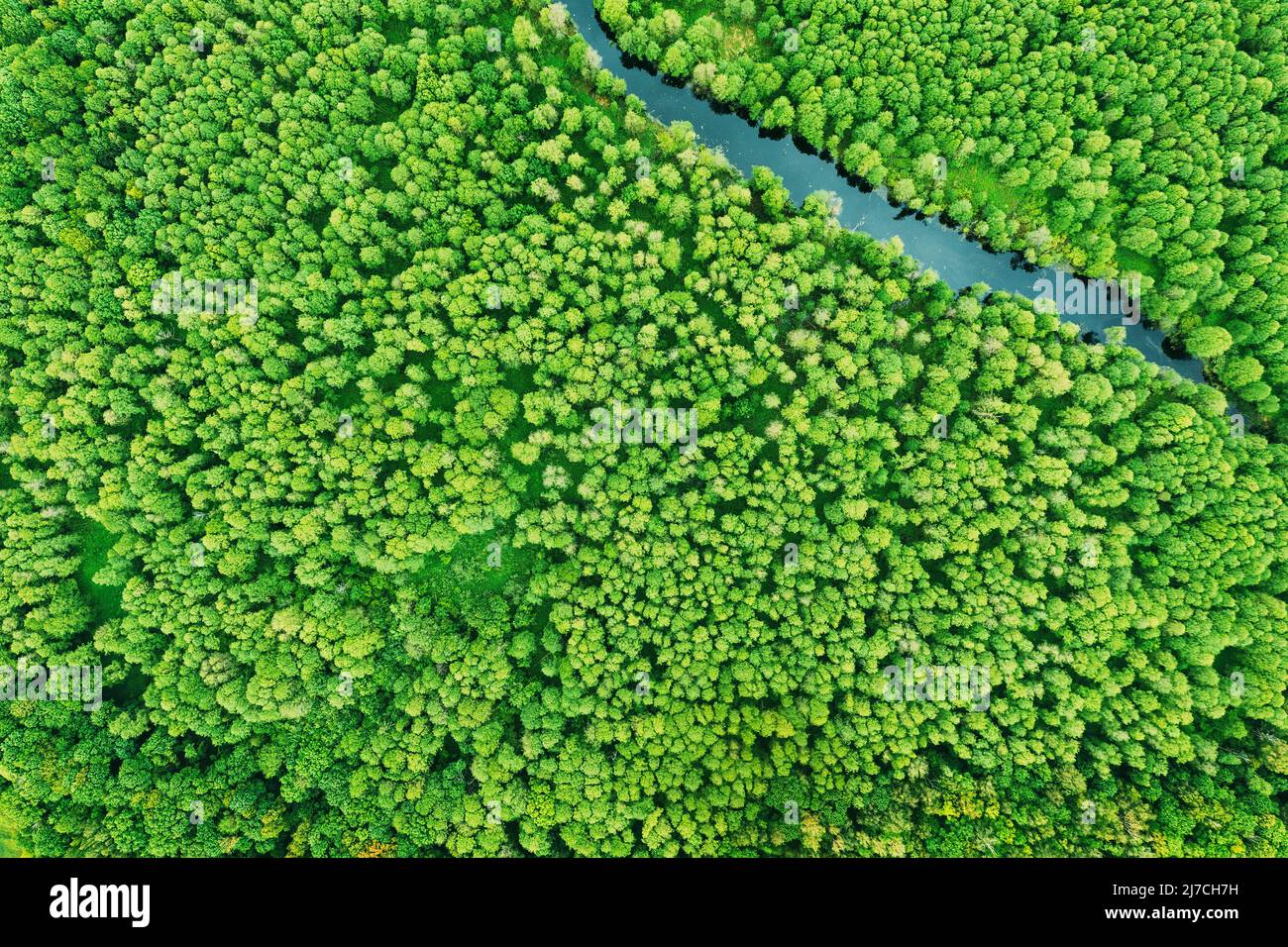 Green forest river aerial hi-res stock photography and images - Alamy