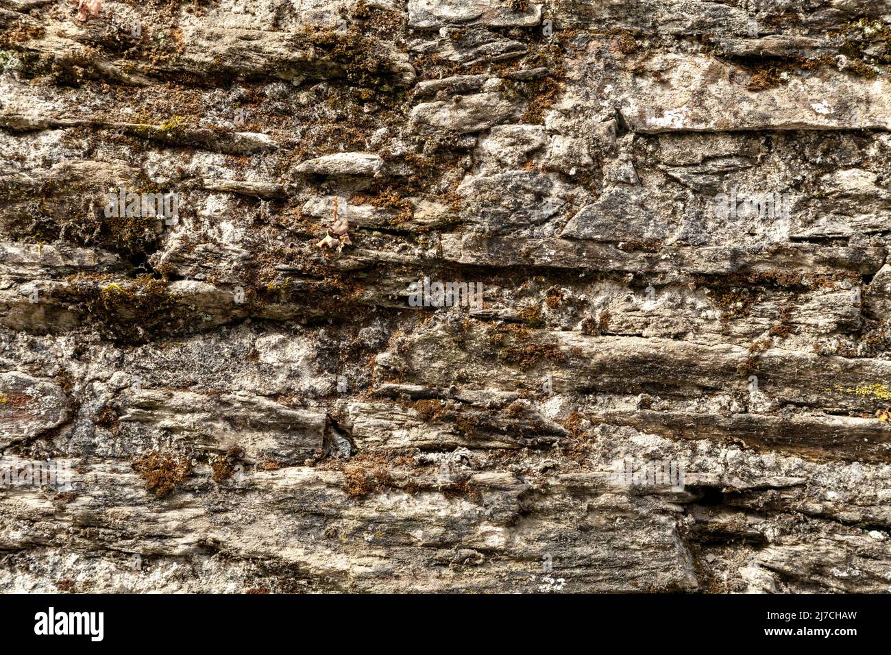 Stone wall with green moss Stock Photo