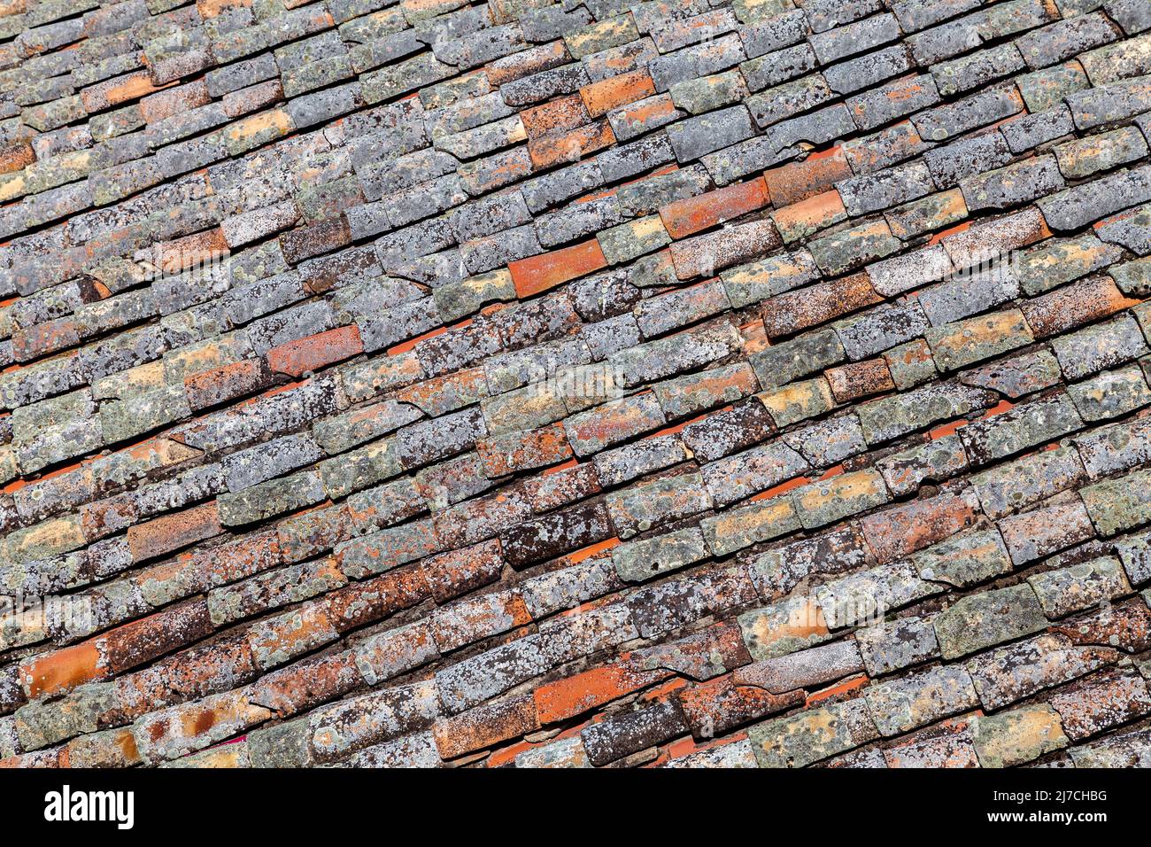 Old red tiling covered with lichen Stock Photo