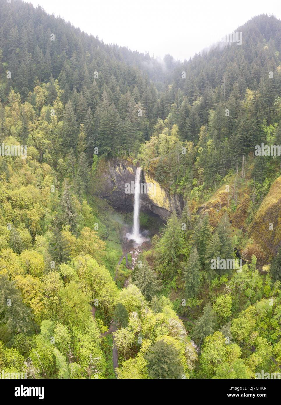 Surrounded by beautiful forest, a huge waterfall drops almost 250 feet and eventually flows into the Columbia River in Oregon. Stock Photo