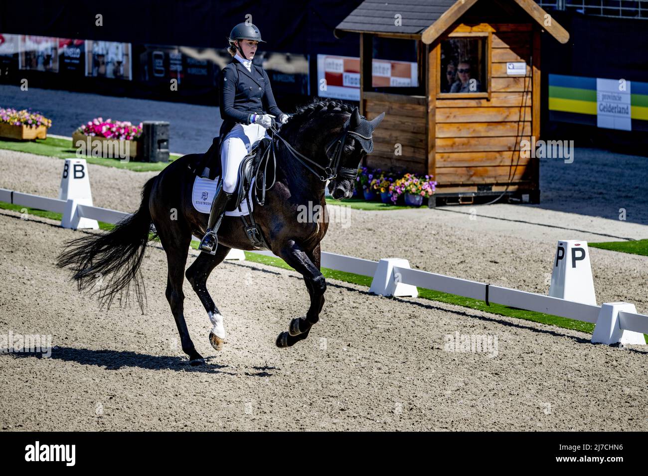 Ermelo, The Netherlands, 2022-05-08 15:23:00 ERMELO - Denise Nekeman on Boston STH in action during the Dutch Dressage Championship. ANP ROBIN UTRECHT netherlands out - belgium out Stock Photo