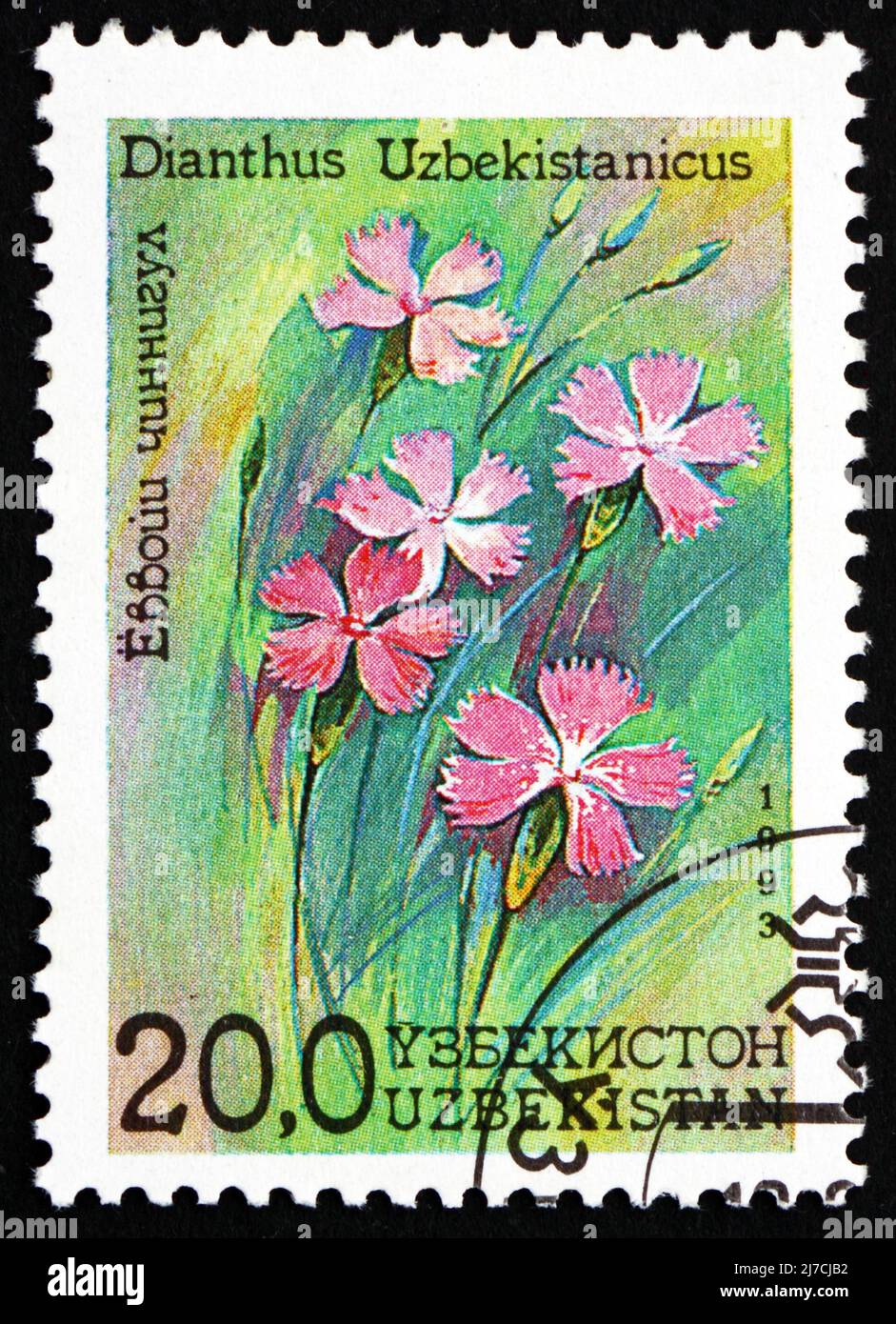 UZBEKISTAN - CIRCA 1993: a stamp printed in Uzbekistan shows Dianthus, Dianthus Uzbekistanicus, Flower, circa 1993 Stock Photo