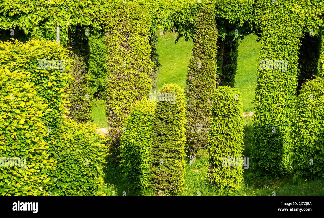 Roccolo del Sauch is a very ancient system for catching birds. Vegetable construction in the trees, formerly used for the capture of birds,Italy Stock Photo