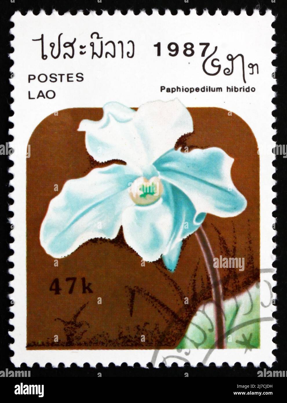 LAOS - CIRCA 1987: a stamp printed in Laos shows Paphiopedilum Hybrid, Orchid, Flower, circa 1987 Stock Photo