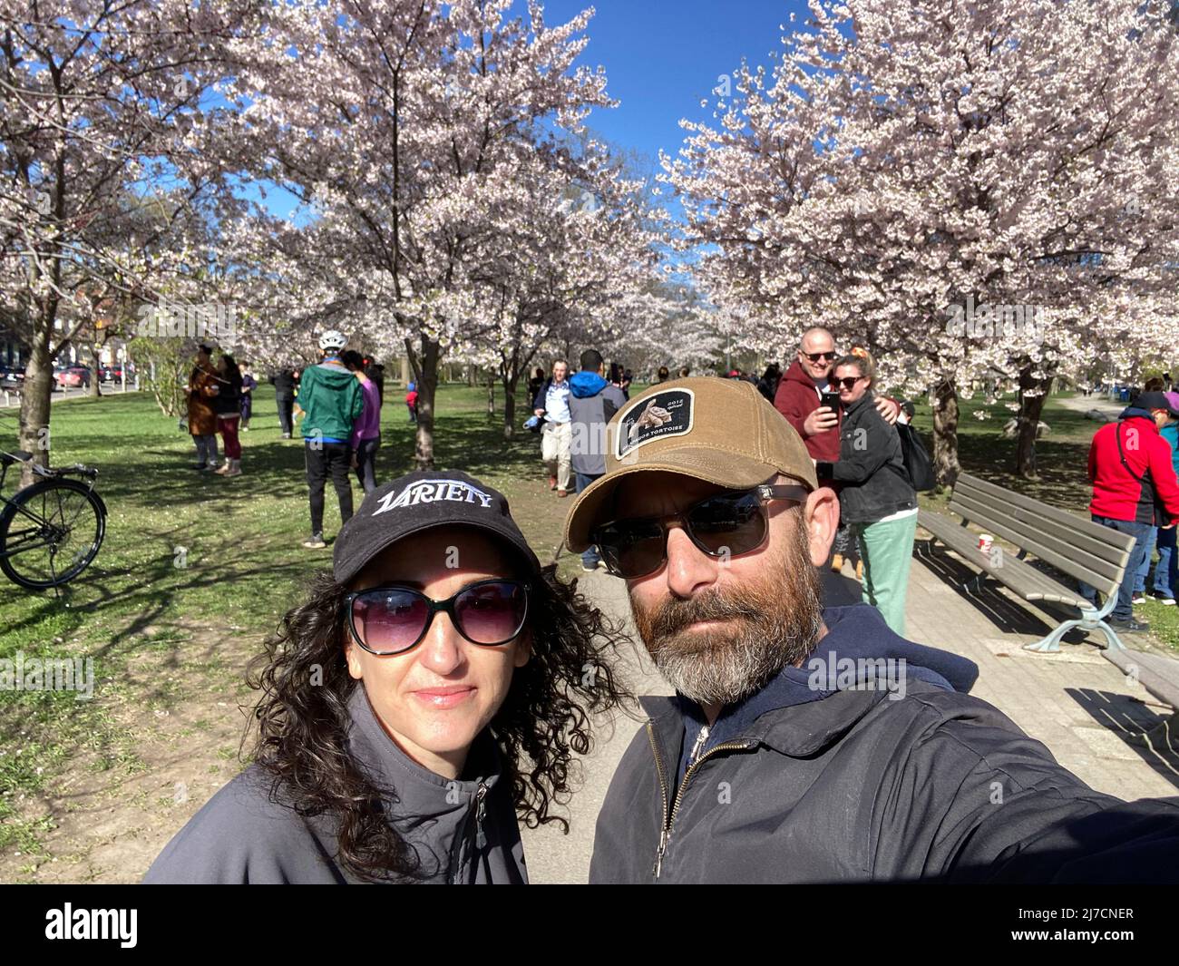 PEOPLE VISIT THE CHERRY BLOSSOM TREES AT TRINITY BELLWOODS PARK Stock ...