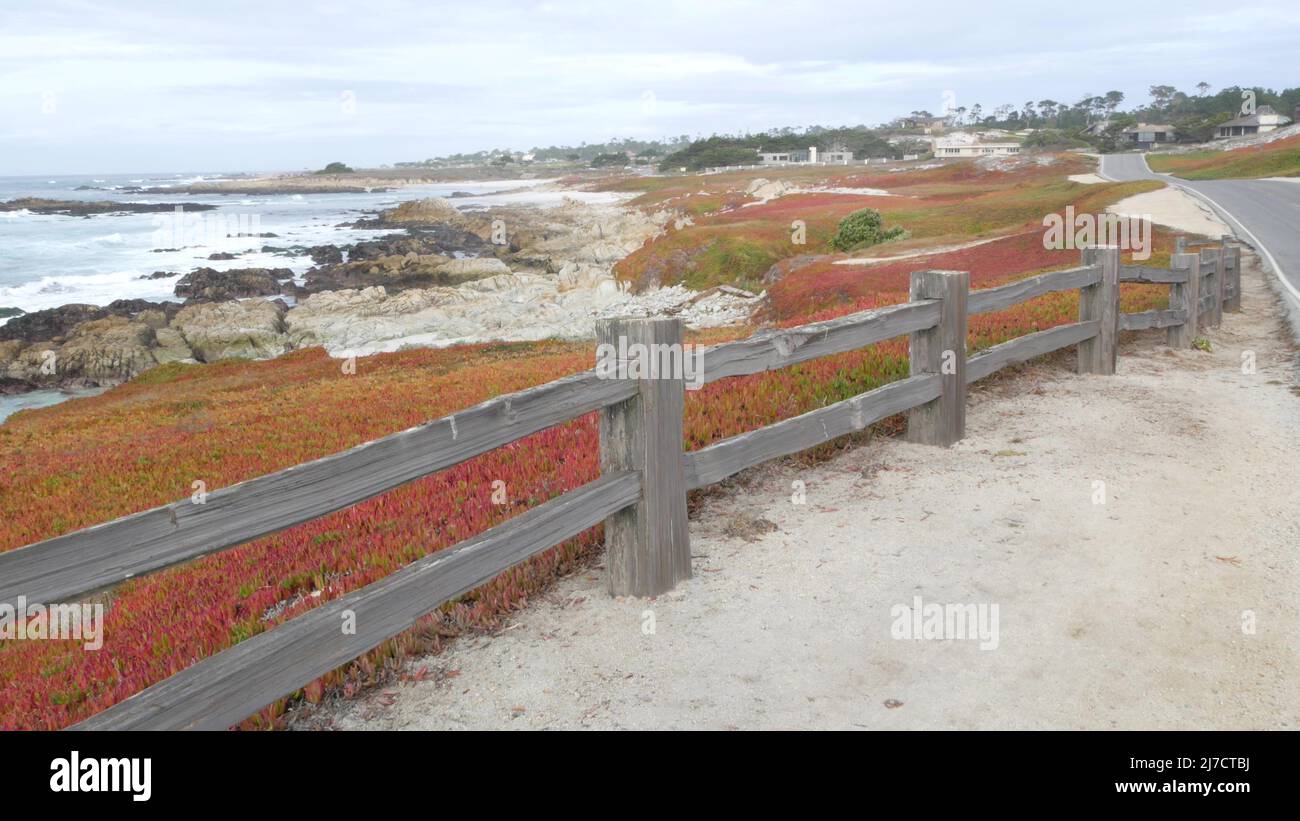 17mile drive scenic road, Monterey California USA. Trip along ocean