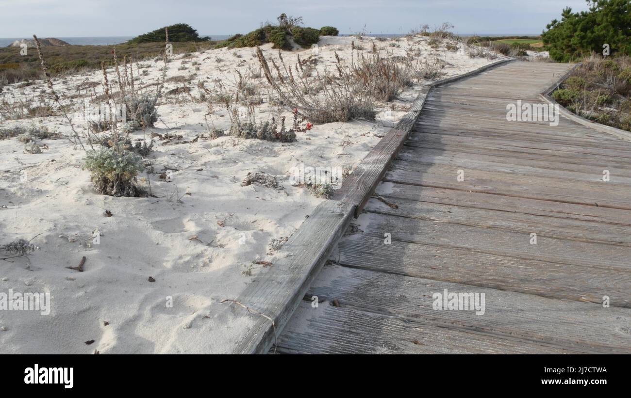Wooden boardwalk trail, coastal sand dunes in Monterey, 17-mile drive ...
