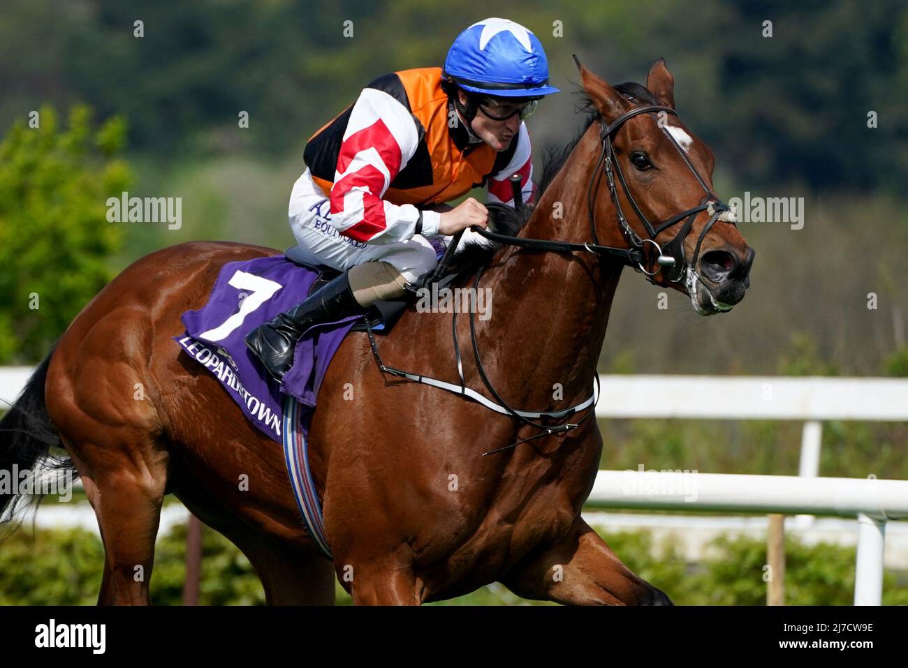 Yashin ridden by Shane Foley on their way to win the Fund A New Home For  Festina Lente Handicap race during Derby Trial day at Leopardstown  racecourse, Dublin. Picture date: Sunday May