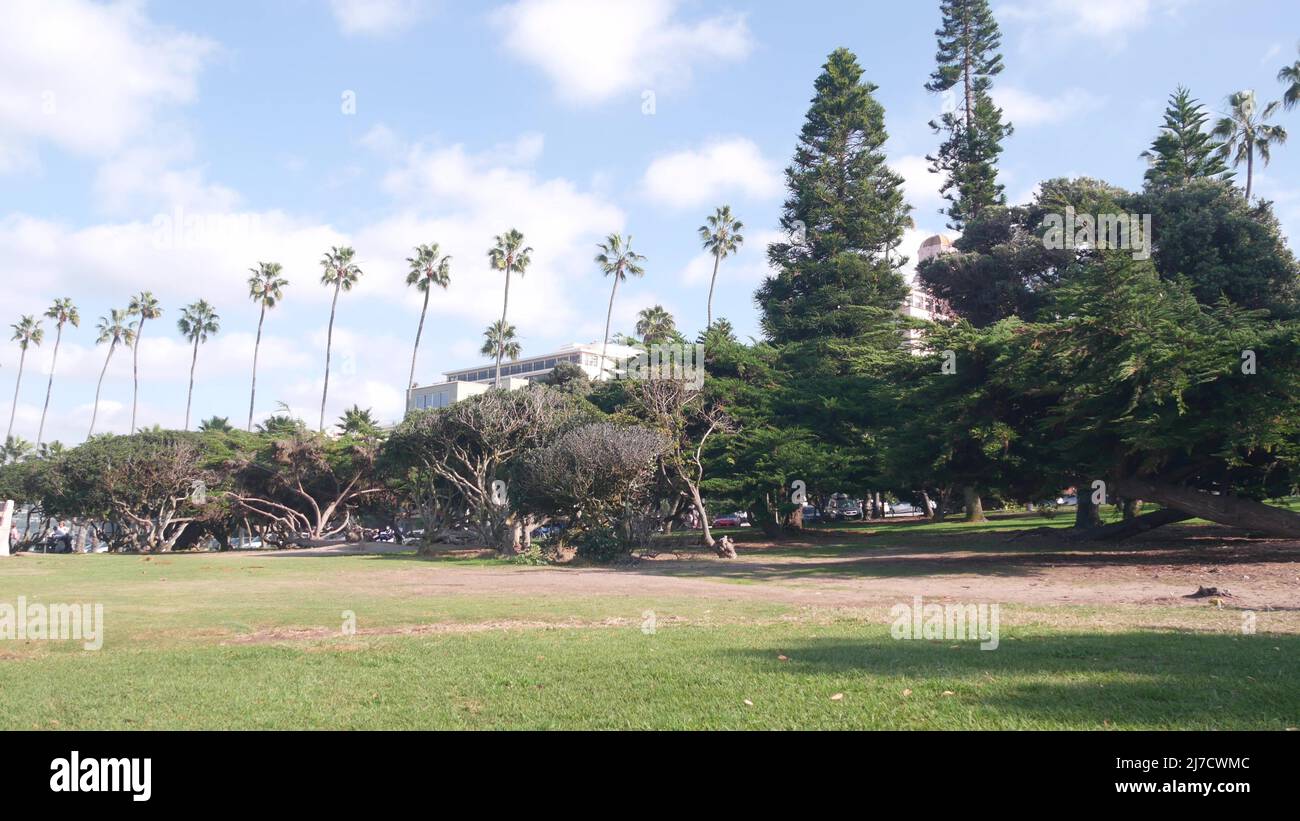 Row palm trees rocky point hi-res stock photography and images - Alamy