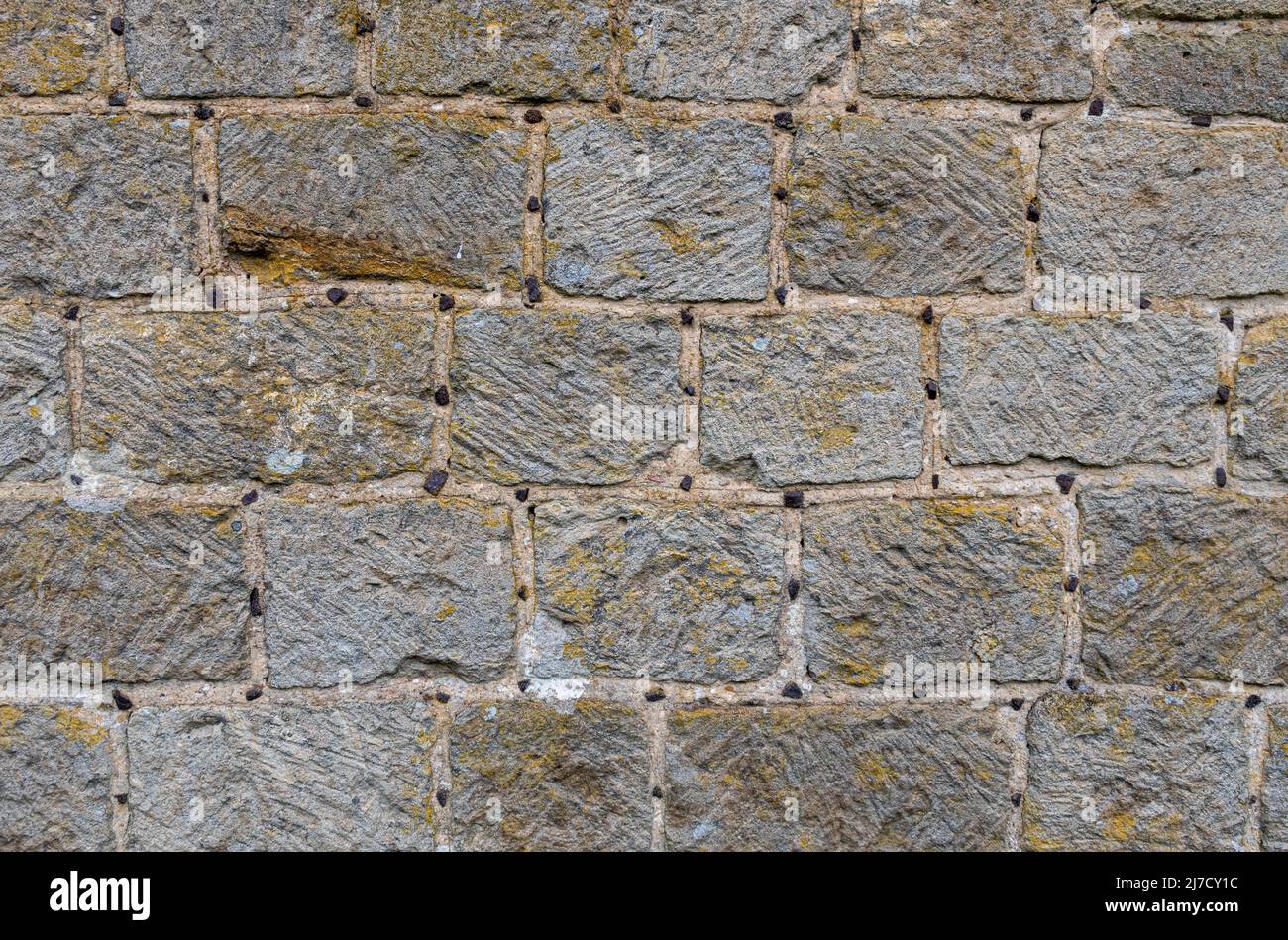 Wall showing galleting (also called garreting or garneting), an architectural technique where small pieces of stone are pushed into wet mortar, UK Stock Photo