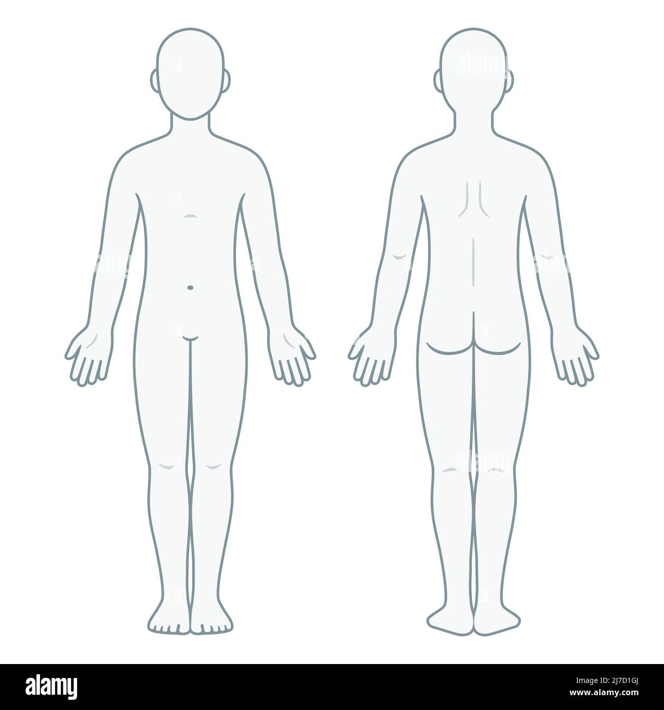 Body chart for medical diagram, front and back view. Blank unisex body
