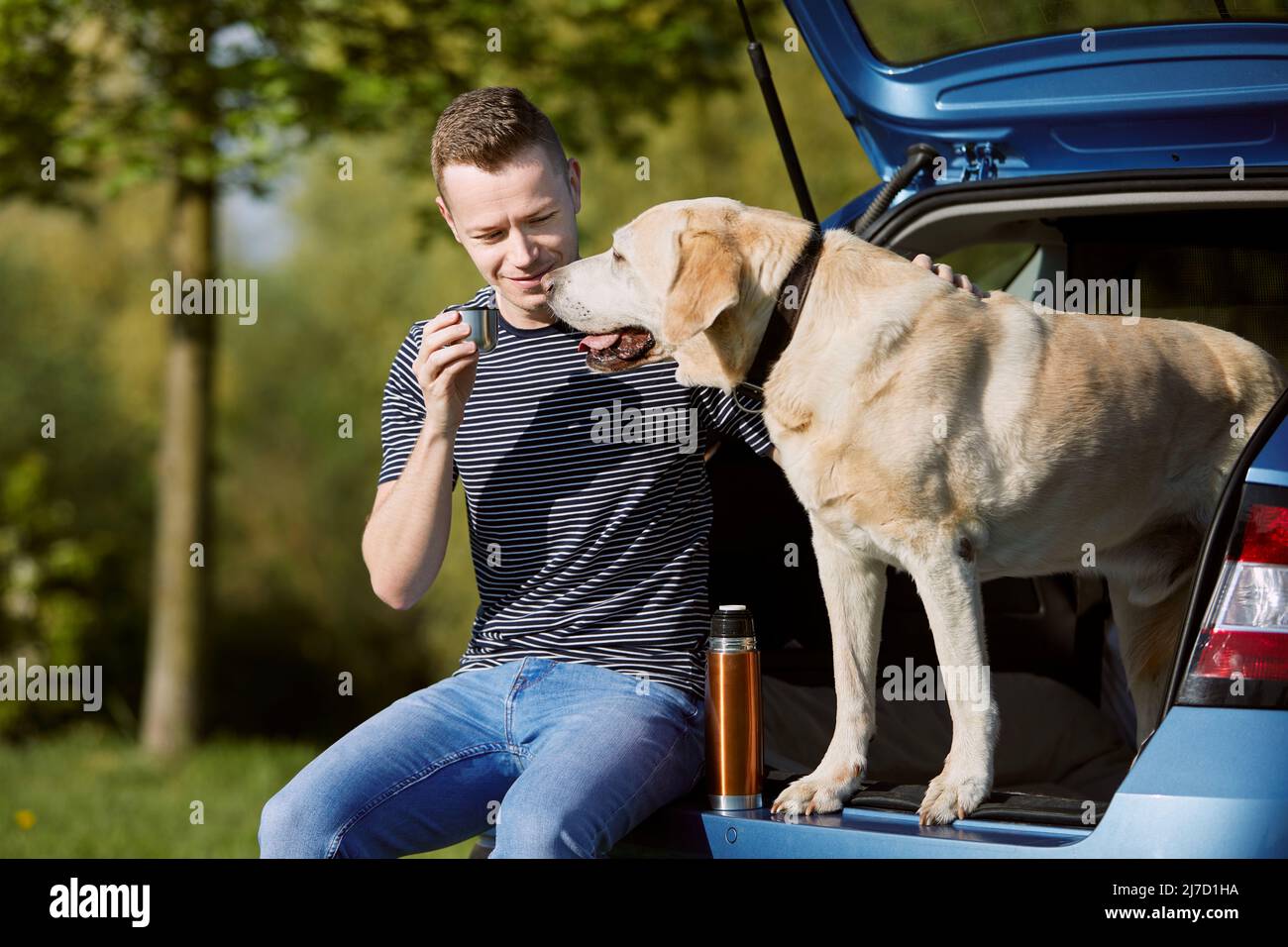 Man with dog traveling by car. Pet owner enjoying road trip with his labrador retriever. Stock Photo