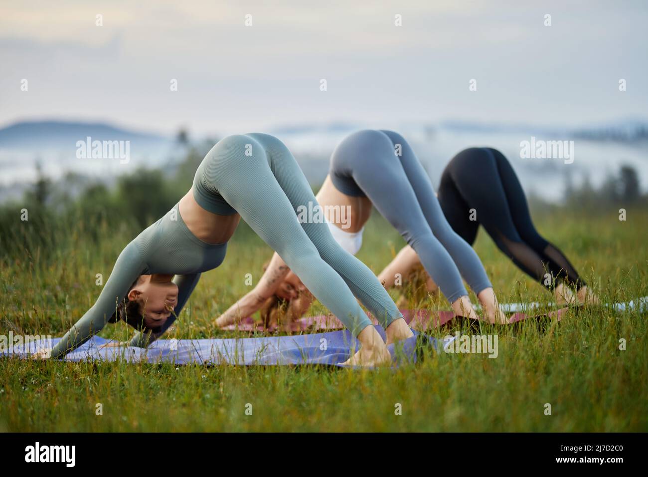 Side view of girls stretching doing mountain pose on grass in morning nature. Beautiful women working out with closed eyes holding downward facing dog exercise in mountains. Concept of yoga. Stock Photo